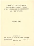 A Key to the Species of Actornithophilus Ferris with  notes and descriptions of new species