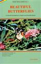 Beautiful Butterflies: A Colourful Introduction to Nepal's most Beautiful Insects