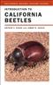Introduction to California Beetles