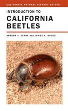 Introduction to California Beetles