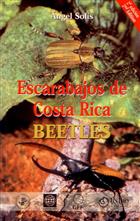 Escarabajos de Costa Rica - Beetles The most common families and subfamilies