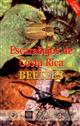 Escarabajos de Costa Rica - Beetles The most common families and subfamilies