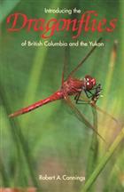 Introducing the Dragonflies of British Columbia and Yukon