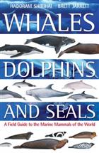 Whales, Dolphins and Seals: A Field Guide to the Marine Mammals of the World