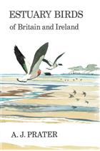 Estuary Birds of Britain and Ireland