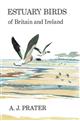 Estuary Birds of Britain and Ireland