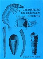 Caddisflies: The Underwater Architects