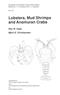 Lobsters, Mud Shrimps and Anomuran Crabs  Synopses of the British Fauna 55