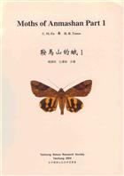 Moths of Anmashan 1: Geometridae and Noctuidae