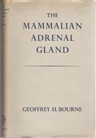 The Mammalian Adrenal Gland