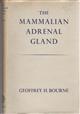 The Mammalian Adrenal Gland
