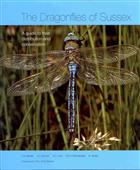 Dragonflies of Sussex