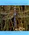 The Dragonflies of Sussex: A guide to their distribution and conservation