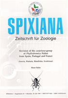 Revision of the carpetana-group of Phyllodromica Fieber from Spain, Portugal and France (Insecta, Blatellidae, Ectobiinae)