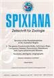 Revision of the Pseudomorphinae of the Australian Region 2: The Genera Pseudomorpha Kirby, Adelotopus Hope, Cainogenion Notman, Paussotropus Waterhouse, and Cryptocephalomropha Ritsema. Taxonomy, Phylogeny, Zoogeography (Insecta, Coleoptera, Carabidae)