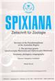 Revision of the Pseudomorphinae of the Australian Region 1: The previous genera Sphallomorpha Westwood and Silphomorpha Westwood. Taxonomy, Phylogeny, Zoogeography (Insecta; Coleoptera; Carabidae)