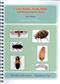 Carpet Beetles, Textile Moths and related Insect Pests