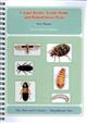 Carpet Beetles, Textile Moths and related Insect Pests