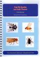 Pest Fly Species and their Control