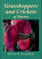 Grasshoppers and Crickets of Surrey