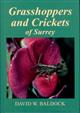 Grasshoppers and Crickets of Surrey