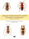 A Field Guide of Longhorned Beetles from Argentina (Cerambycidae)
