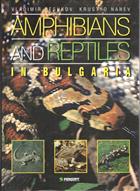 Amphibians and Reptiles in Bulgaria