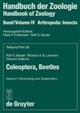 Coleoptera, Beetles. Vol. 1: Morphology and Systematics (Archostemata, Adephaga, Myxophaga, Polyphaga partim) (Handbuch der Zoologie IV/38)