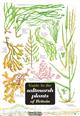 Guide to the Saltmarsh Plants of Britain (Identification Chart)