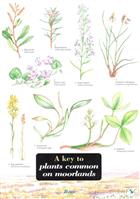 A Key to Plants Common on Moorlands (Identification Chart)