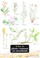 A Key to Plants Common on Moorlands (Identification Chart)