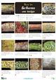 Key to Lichens on Twigs (Identification Chart)