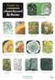 Guide to Common Churchyard Lichens  (Identification Chart)