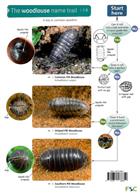 The Woodlouse Name Trail (Identification Chart)