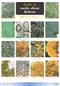 Guide to rocky shore lichens (Identification Chart)