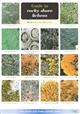 Guide to rocky shore lichens (Identification Chart)
