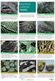 A Guide to Common Fossils  (Identification Chart)