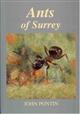 Ants of Surrey