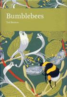 Bumblebees (New Naturalist 98)