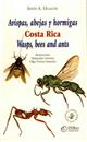 Avispas, abejas y hormigas Costa Rica Waps, bees and ants