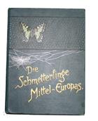 Die Schmetterlinge Mittel-Europas