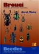 Beetles of the Czech and Slovak Republics / Brouci Ceske a Slovenske republiky