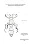 Revisione della sottofamiglia Apterogyninae (Hymenoptera: Bradynobaenidae)