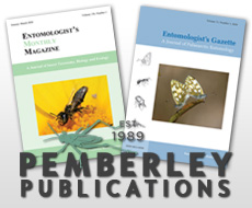 Our Publications